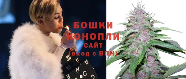 твердый Бородино