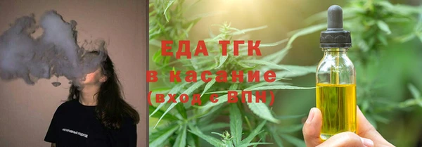 твердый Бородино
