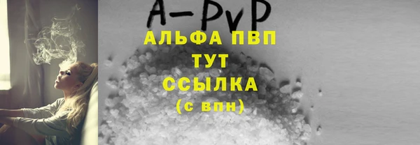 твердый Бородино