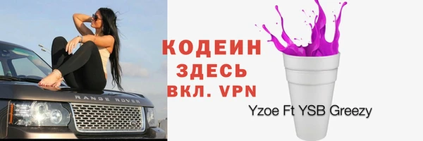 твердый Бородино