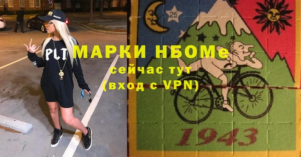 твердый Бородино