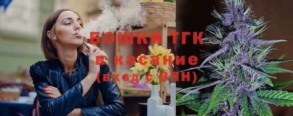 твердый Бородино