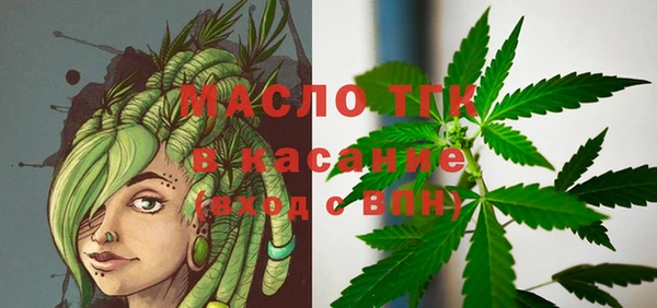 твердый Бородино