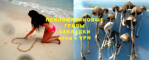 прущая мука Сосновый Бор